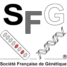 logo-sfg
